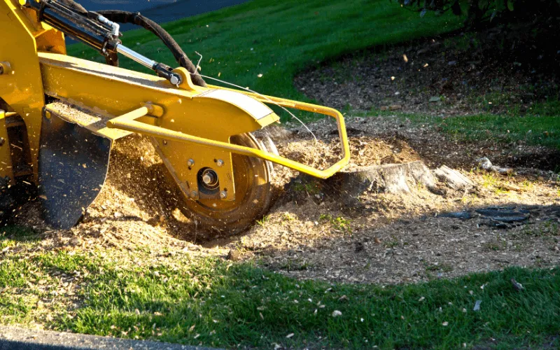 stump-grinding-machine-at-work